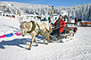 Winter taxi on the mountain (Photo: Dragan Bosnić)